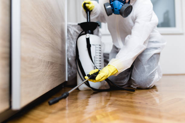 Flea Control Services in Rochelle, GA