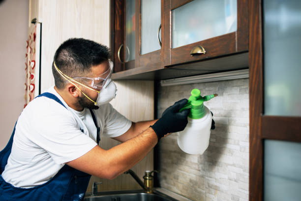 Best Pest Control Near Me  in Rochelle, GA