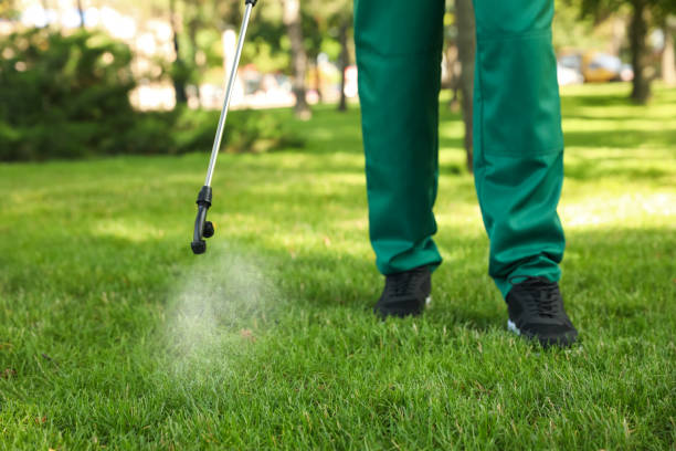 Trusted Rochelle, GA Pest Control Experts