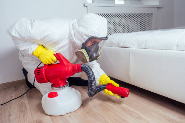 Best Termite Control Services  in Rochelle, GA