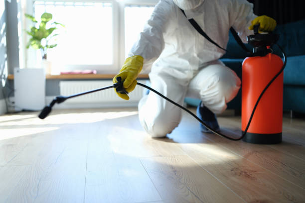 Pest Prevention Services in Rochelle, GA
