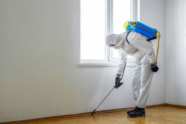 Best Bed Bug Extermination  in Rochelle, GA