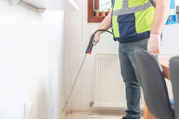 Flea Control Services in Rochelle, GA