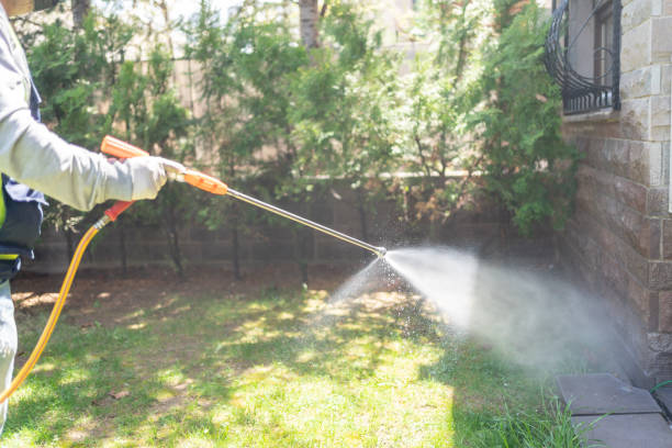 Best Residential Pest Control  in Rochelle, GA