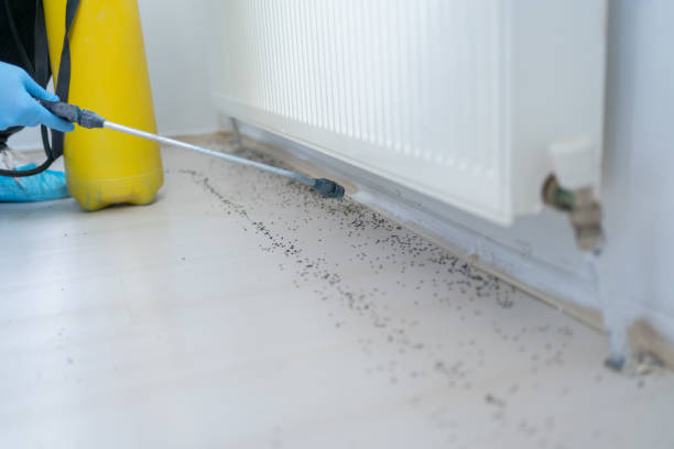 Best Best Pest Control Companies  in Rochelle, GA