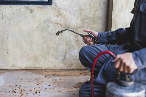 Best Mosquito Control Services  in Rochelle, GA